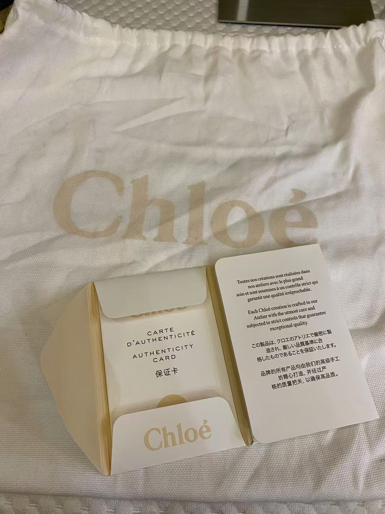 Chloé Nile Minaudière bag in metallic