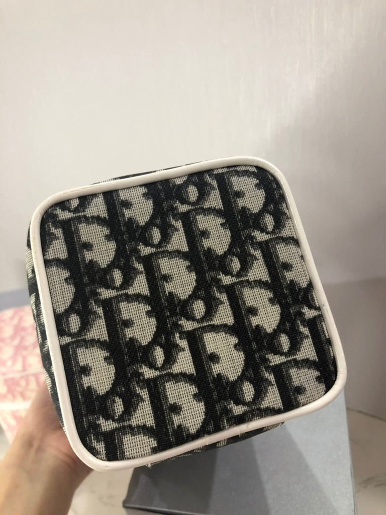 Dior monogram cosmetic vanity case