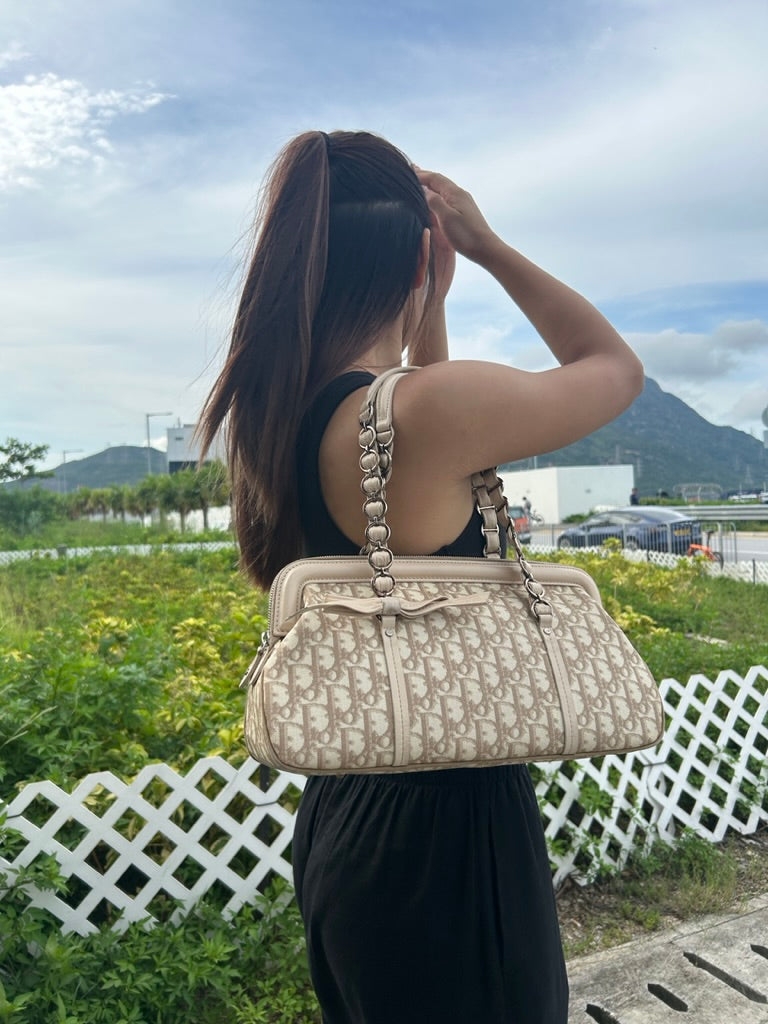 Dior monogram trotter bag