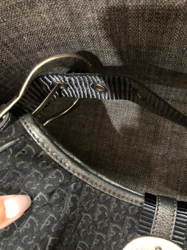 Dior monogram trotter shoulder bag