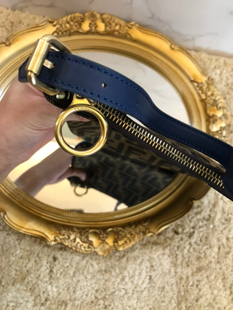 Fendi zucca oyster pochette