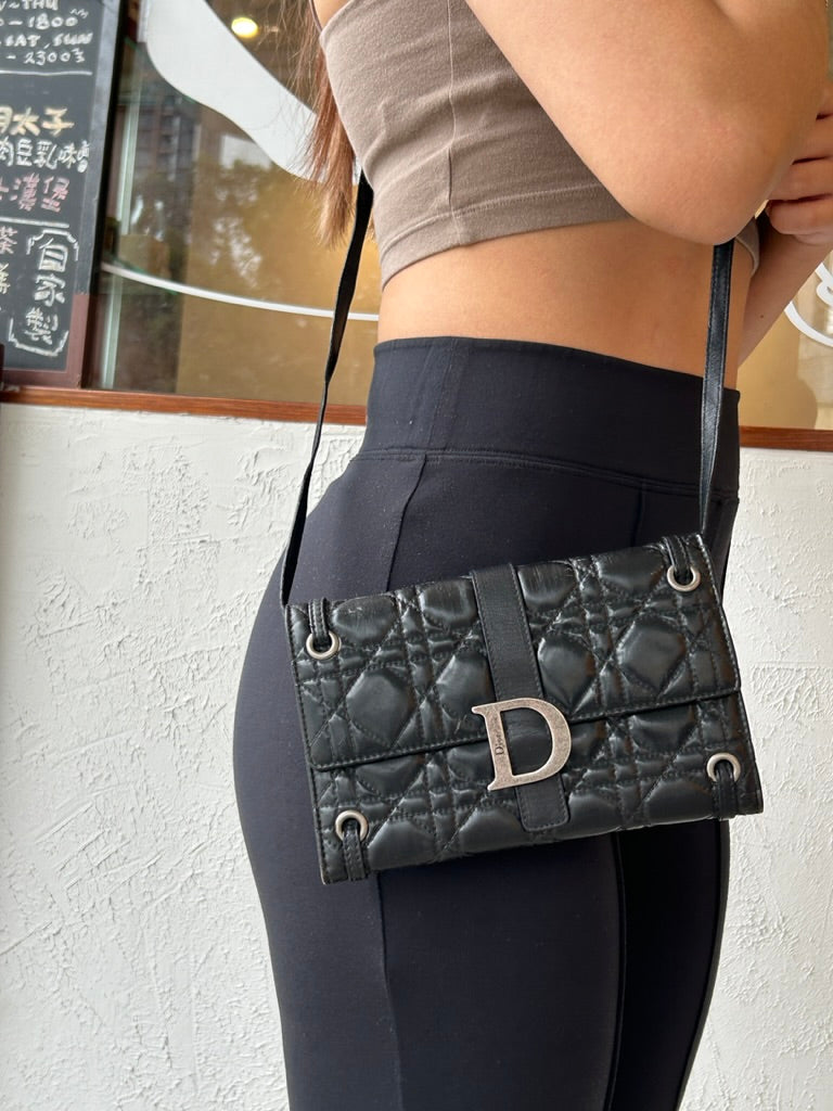 Dior crossbody
