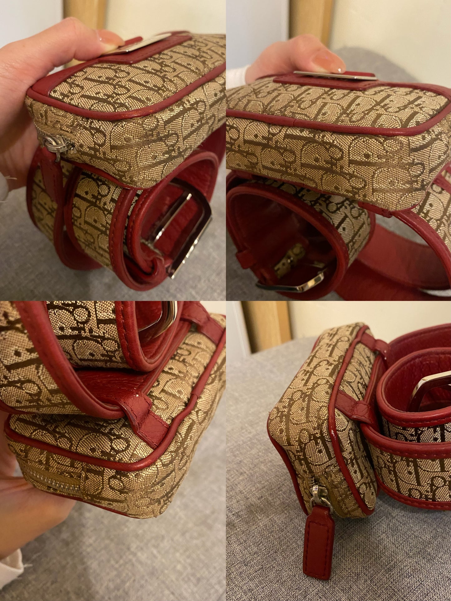 Dior Monogram Mini Belt Bag