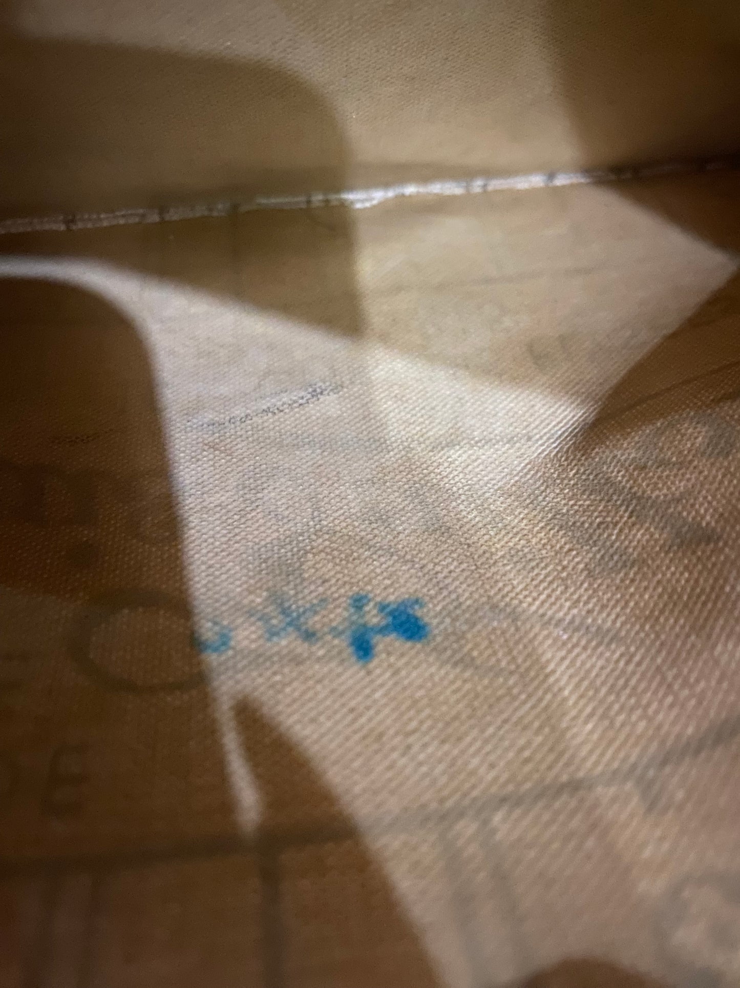 Louis Vuitton Neverfull GM bag