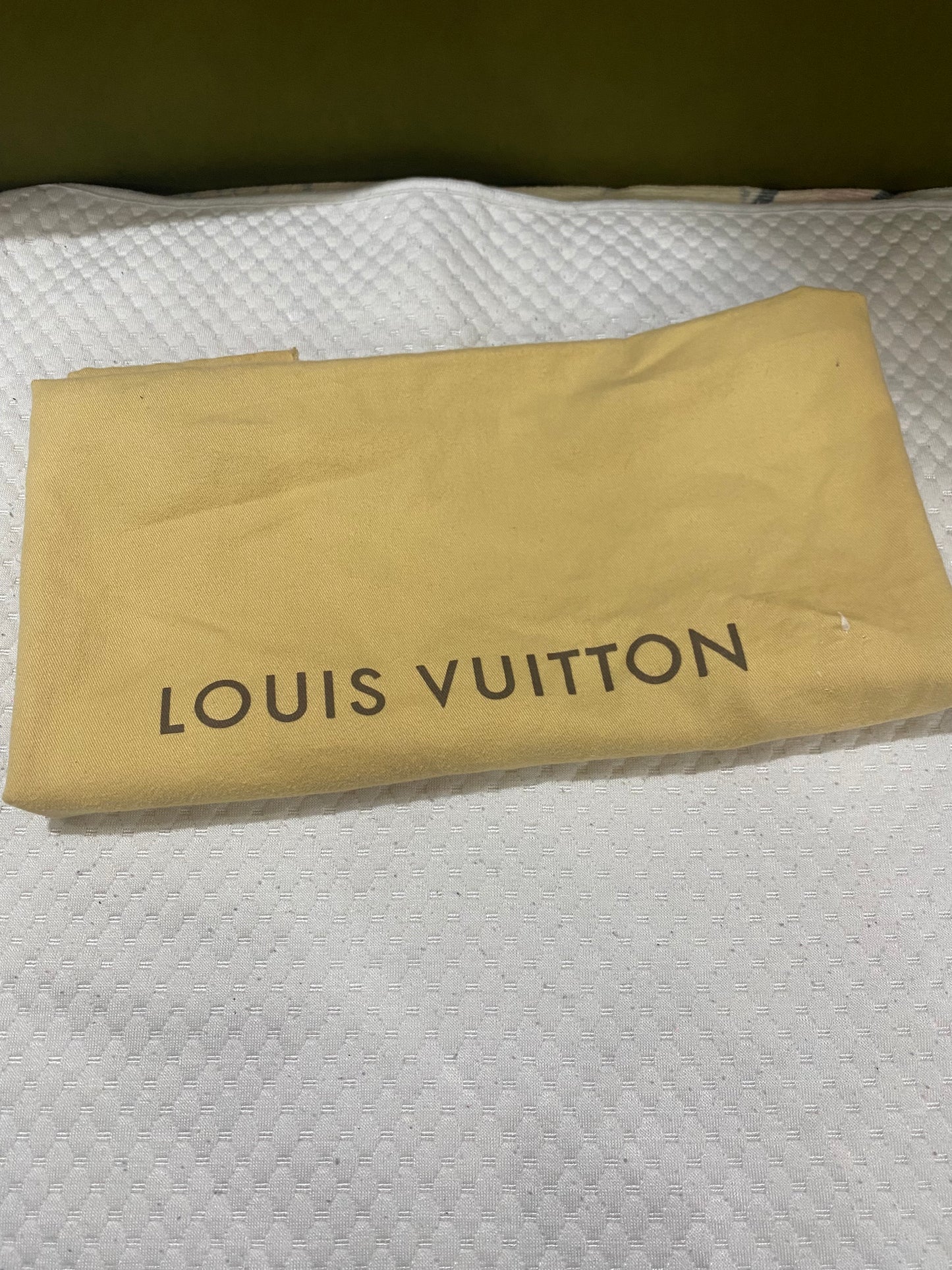 Louis Vuitton Neverfull GM bag