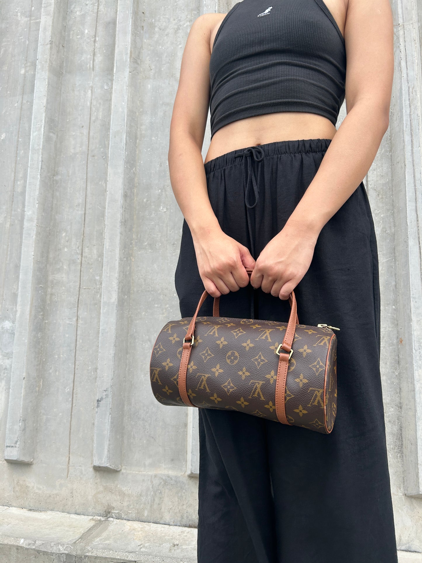 Louis Vuitton papillon 26