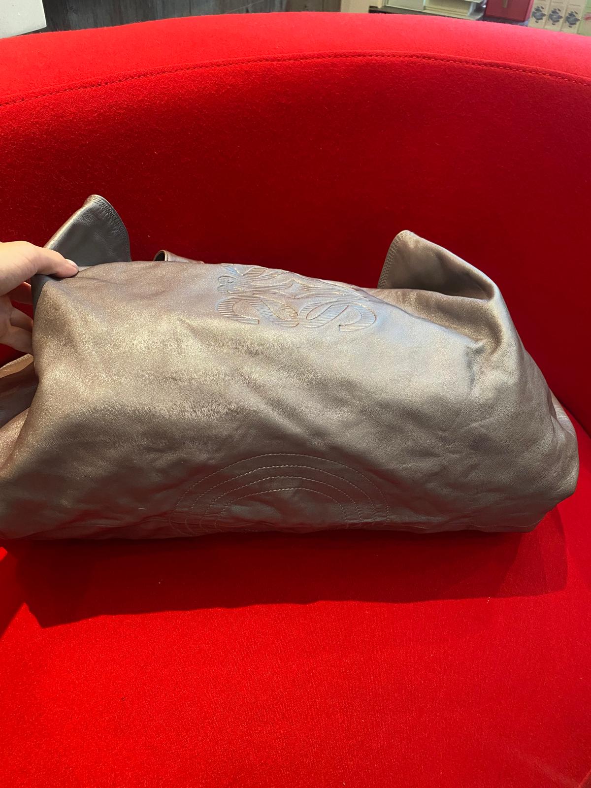 Loewe Metallic Silver Leather Nappa Aire Hobo Handbag