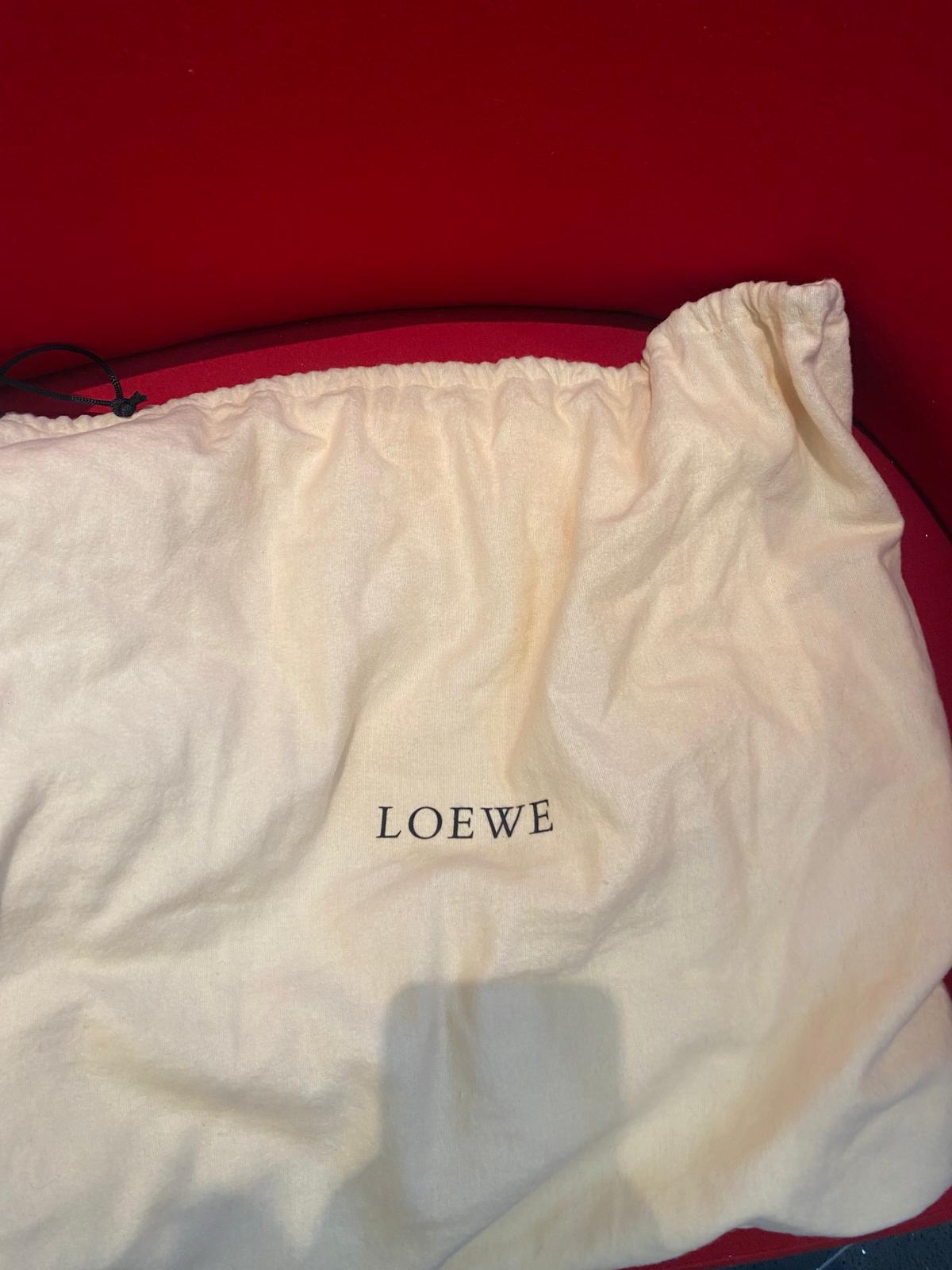 Loewe Metallic Silver Leather Nappa Aire Hobo Handbag