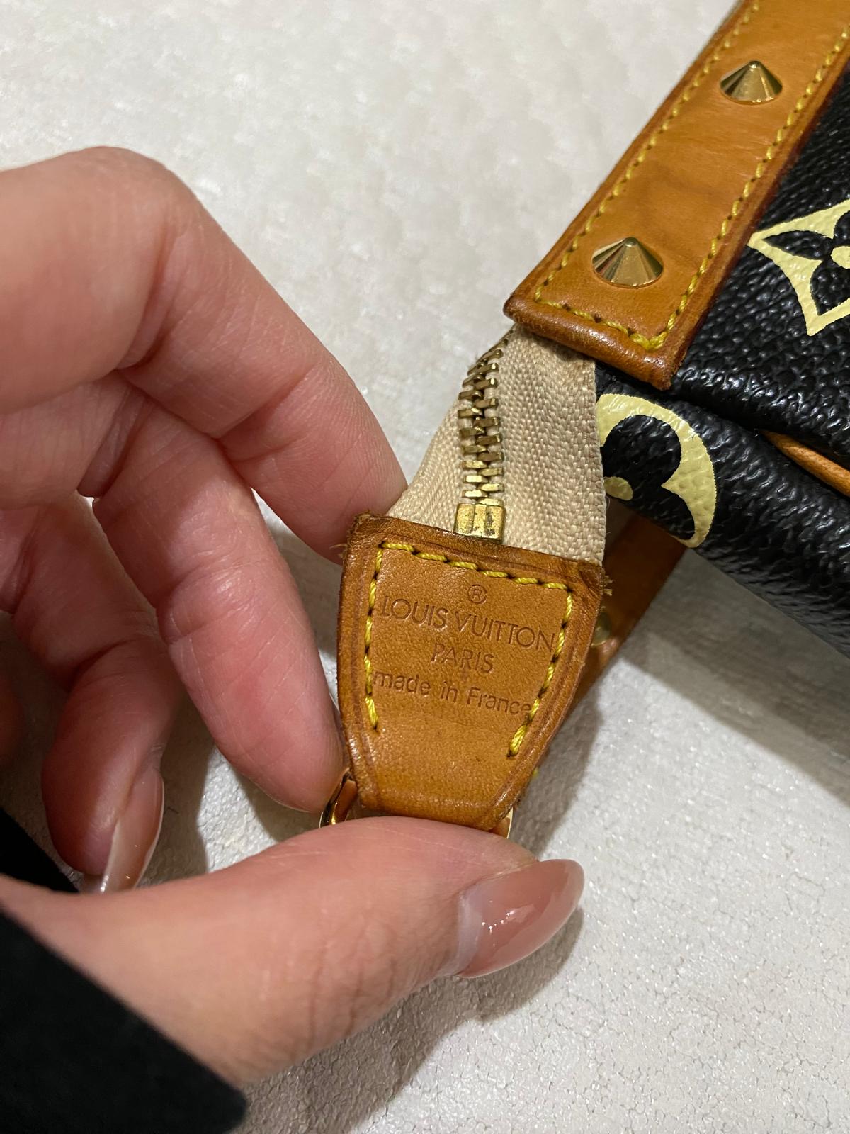 Louis Vuitton x Murakami Multicolor pochette accessories