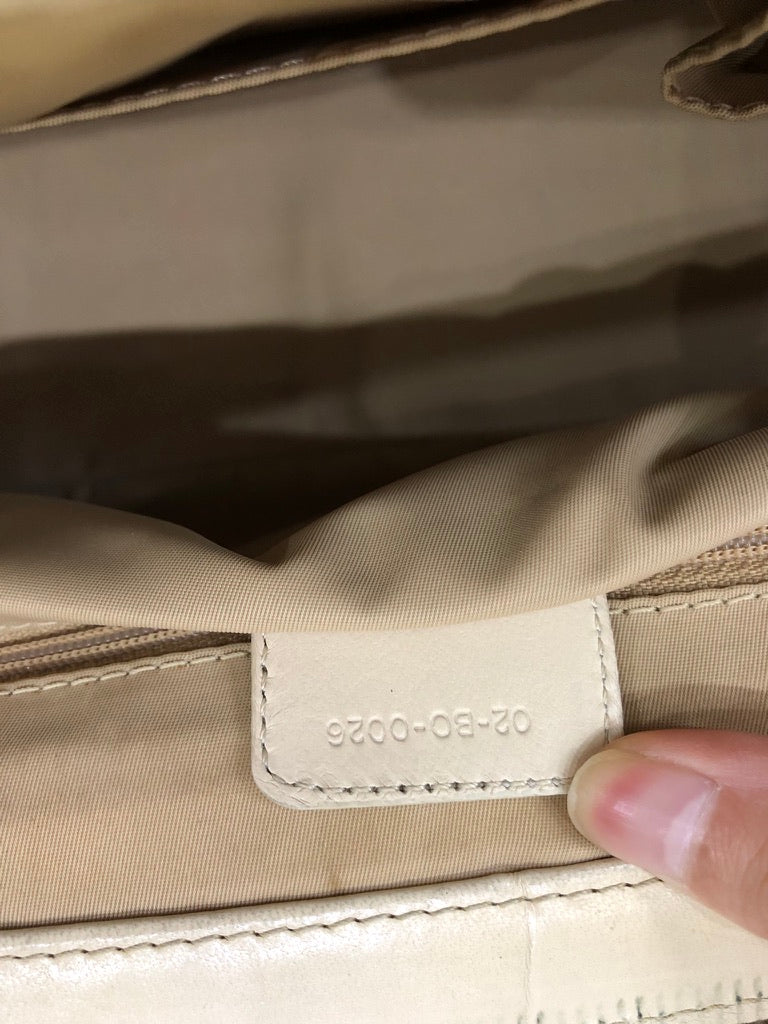 Dior monogram trotter bag