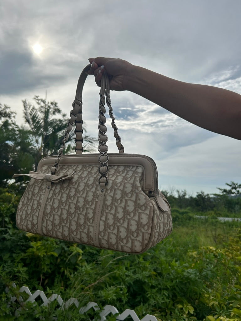 Dior monogram trotter bag