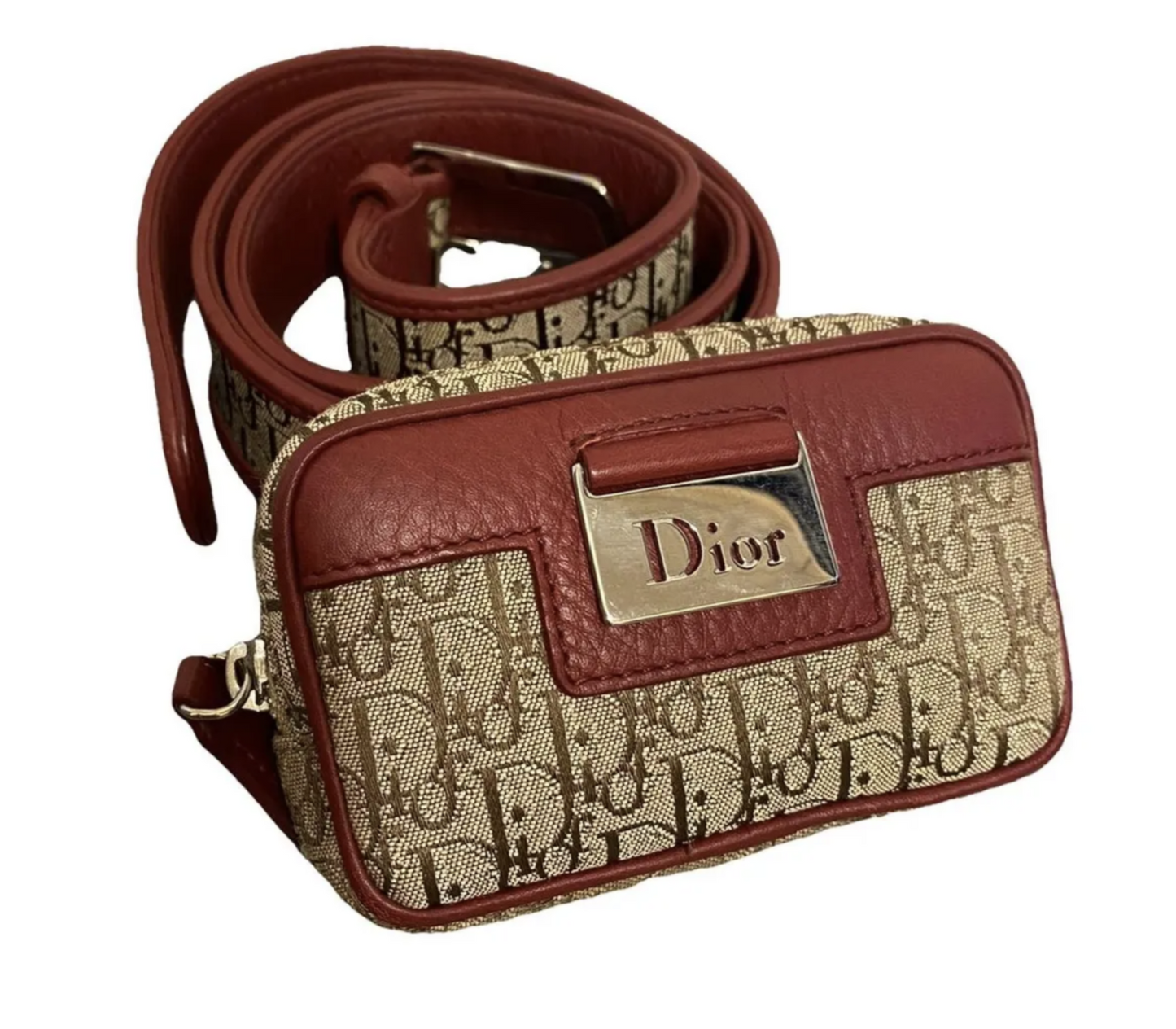 Dior Monogram Mini Belt Bag