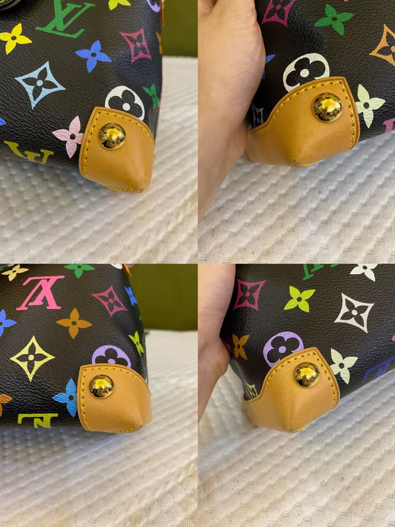 Louis Vuitton Murakami Multicolor Monogram Eliza Shoulder Bag