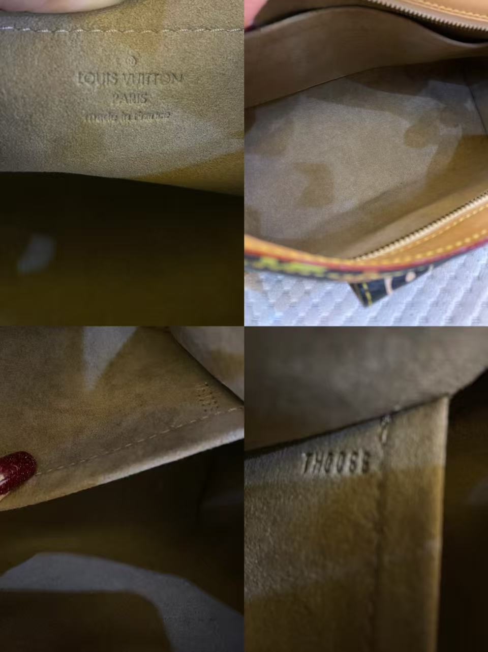 Louis Vuitton Murakami Multicolor Monogram Eliza Shoulder Bag