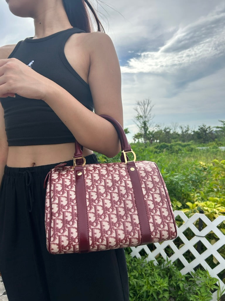 Dior monogram boston bag in 25 cm