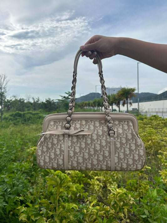 Dior monogram trotter bag