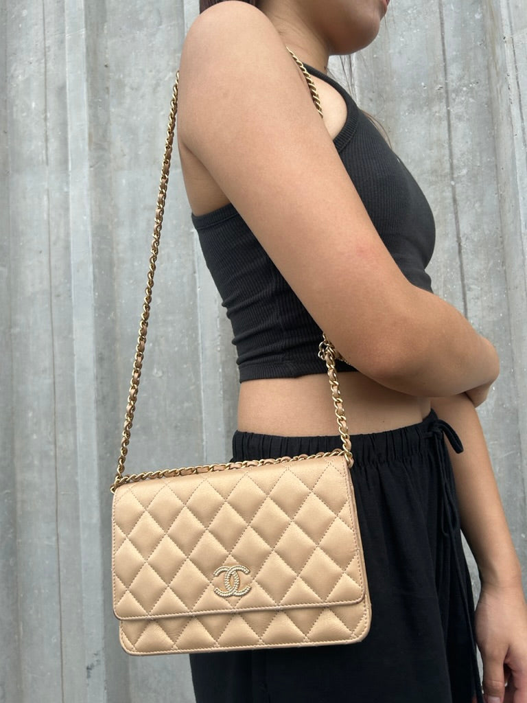 Chanel wallet on chain