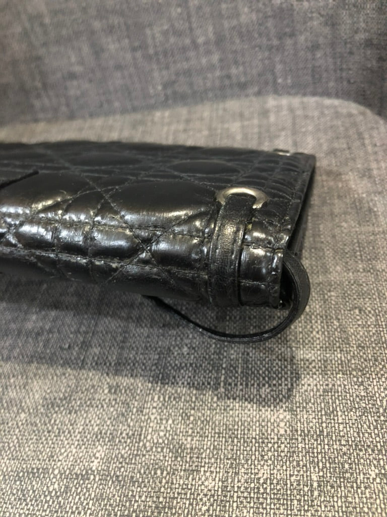 Dior crossbody