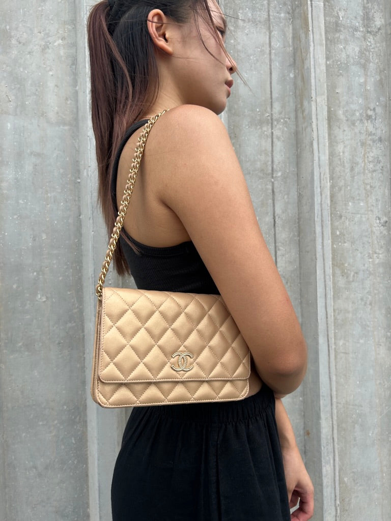 Chanel wallet on chain