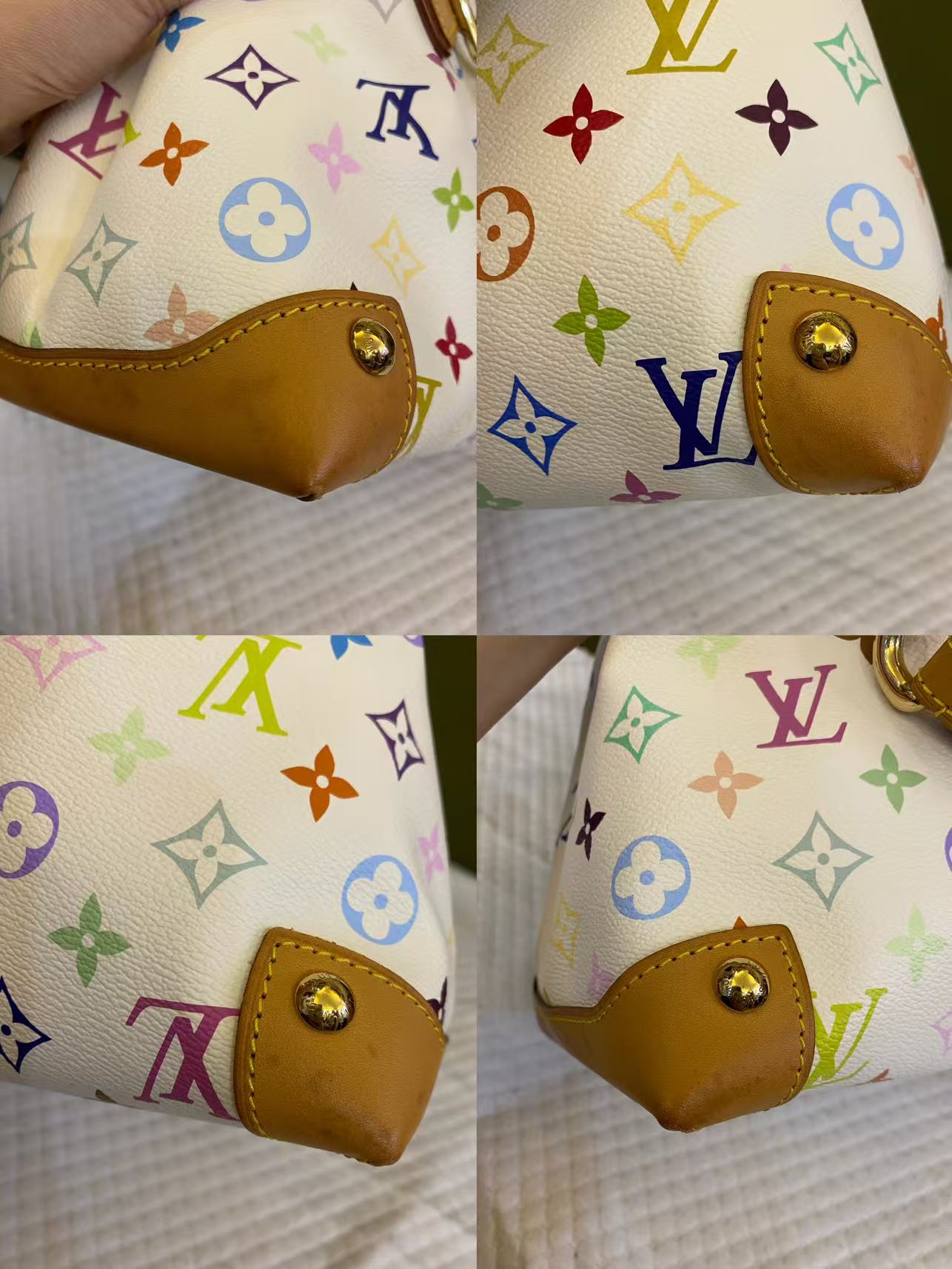 Louis Vuitton Murakami Multicolor Monogram Audra bag