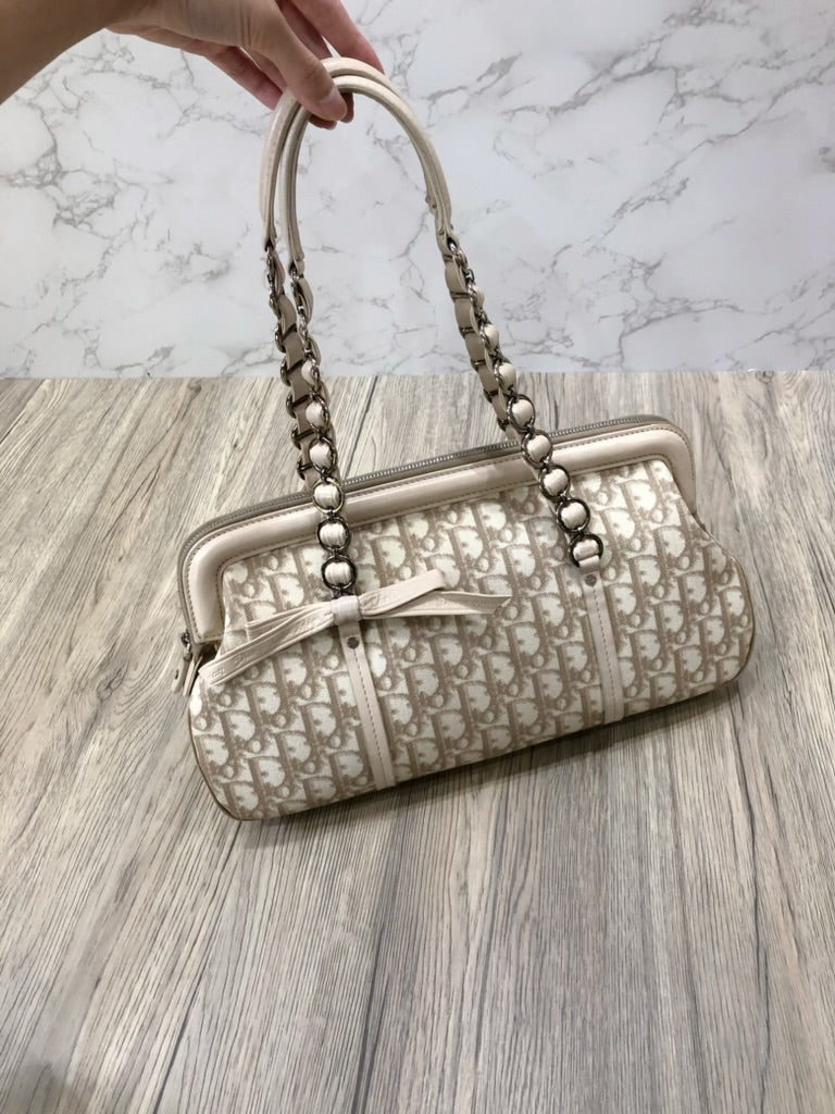 Dior monogram trotter bag