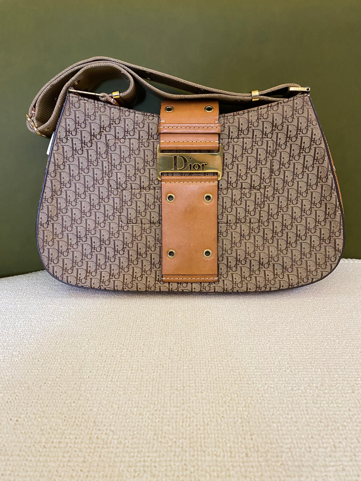 Dior Monogram Street Chic Columbus Hobo Shoulder Bag