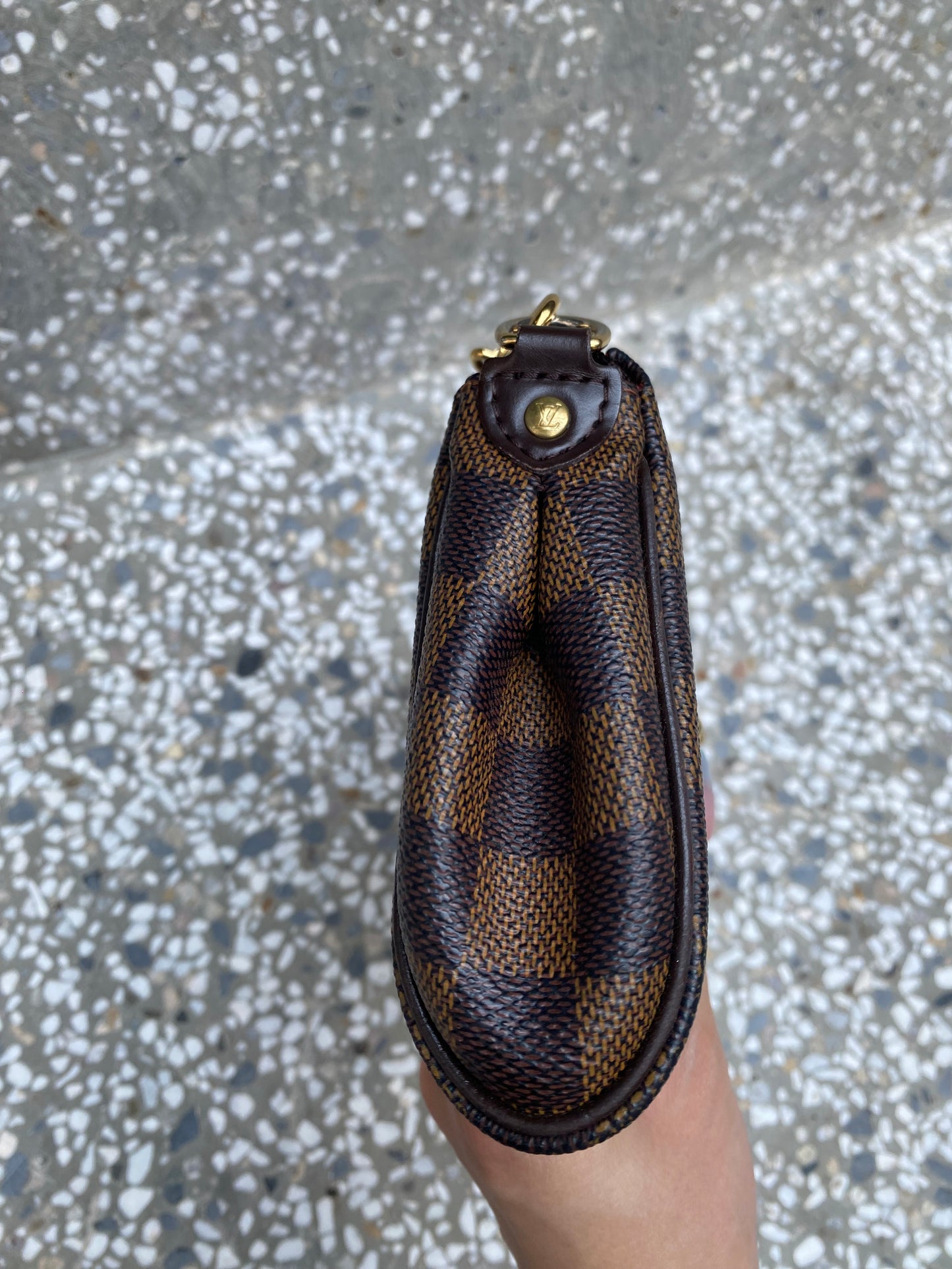 Louis Vuitton damier Eva bag