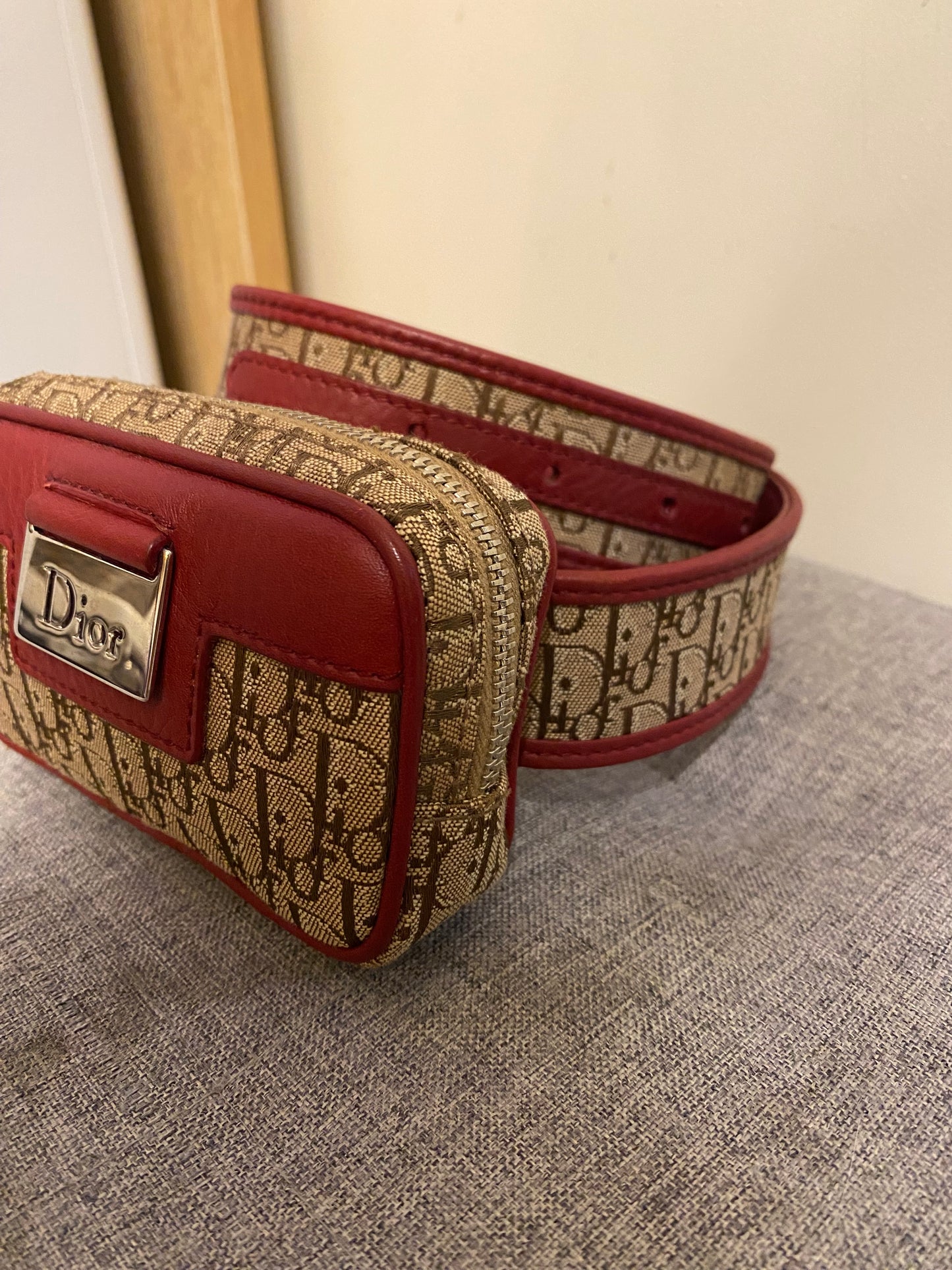 Dior Monogram Mini Belt Bag
