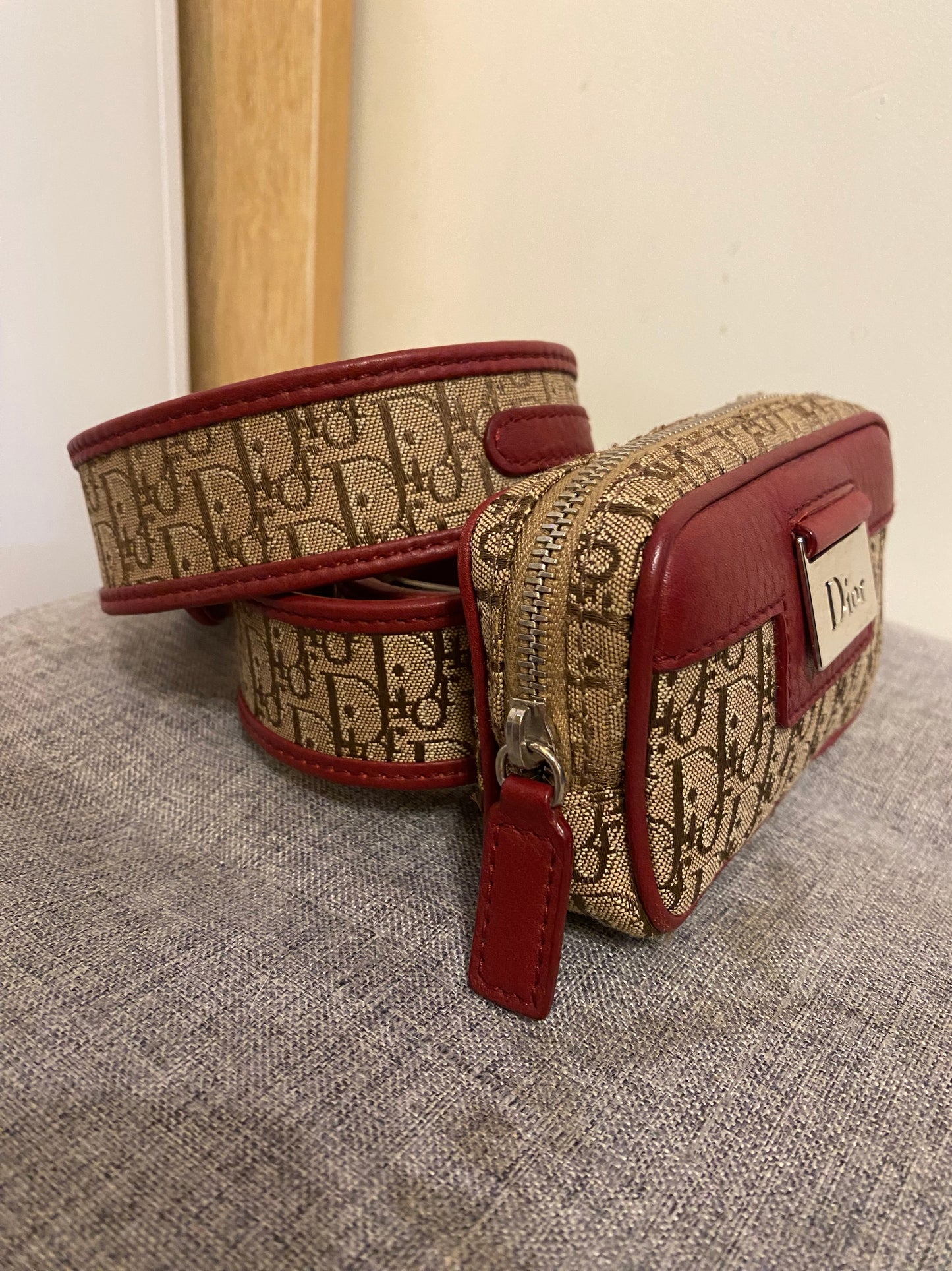 Dior Monogram Mini Belt Bag