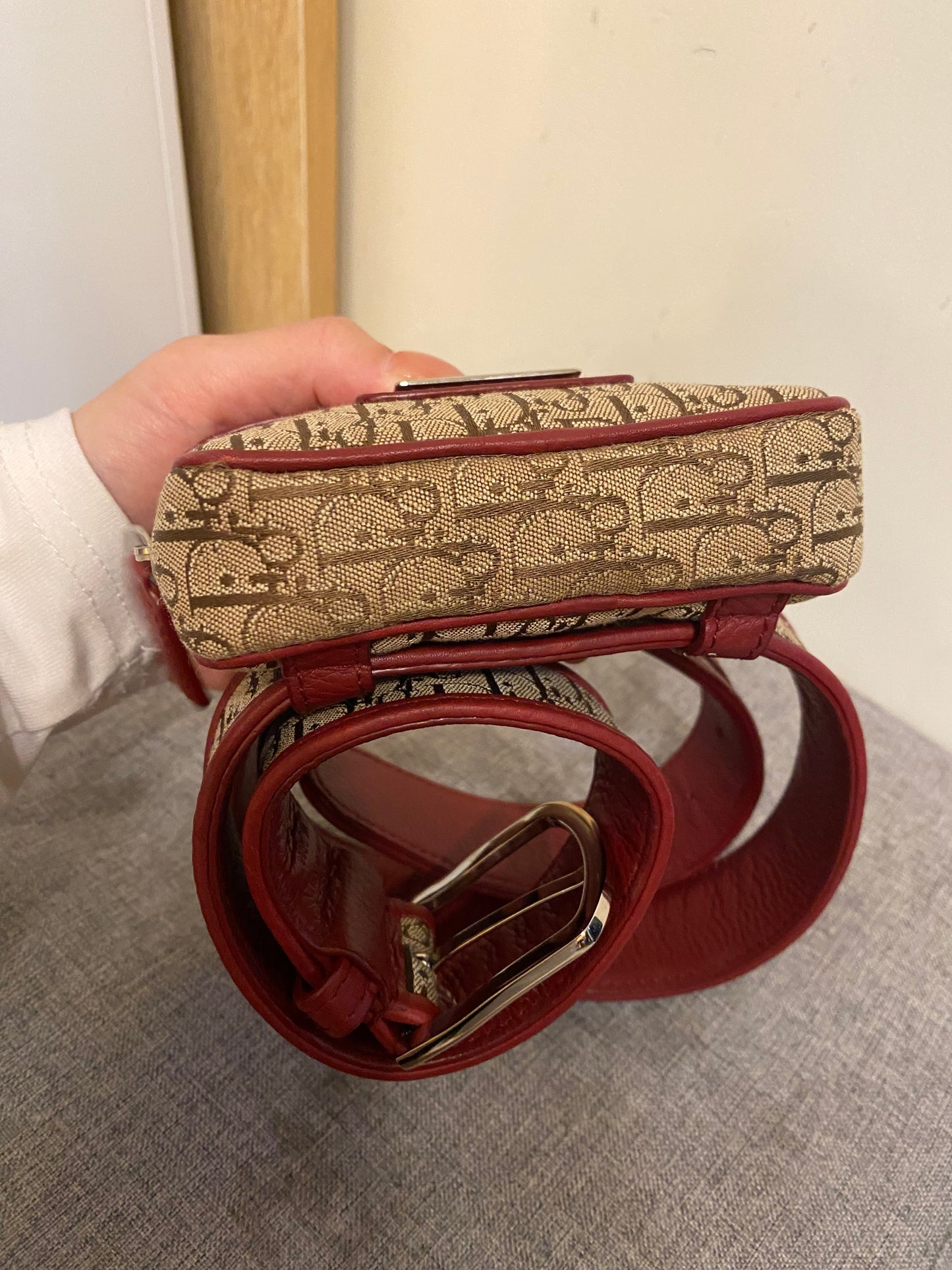 Dior Monogram Mini Belt Bag