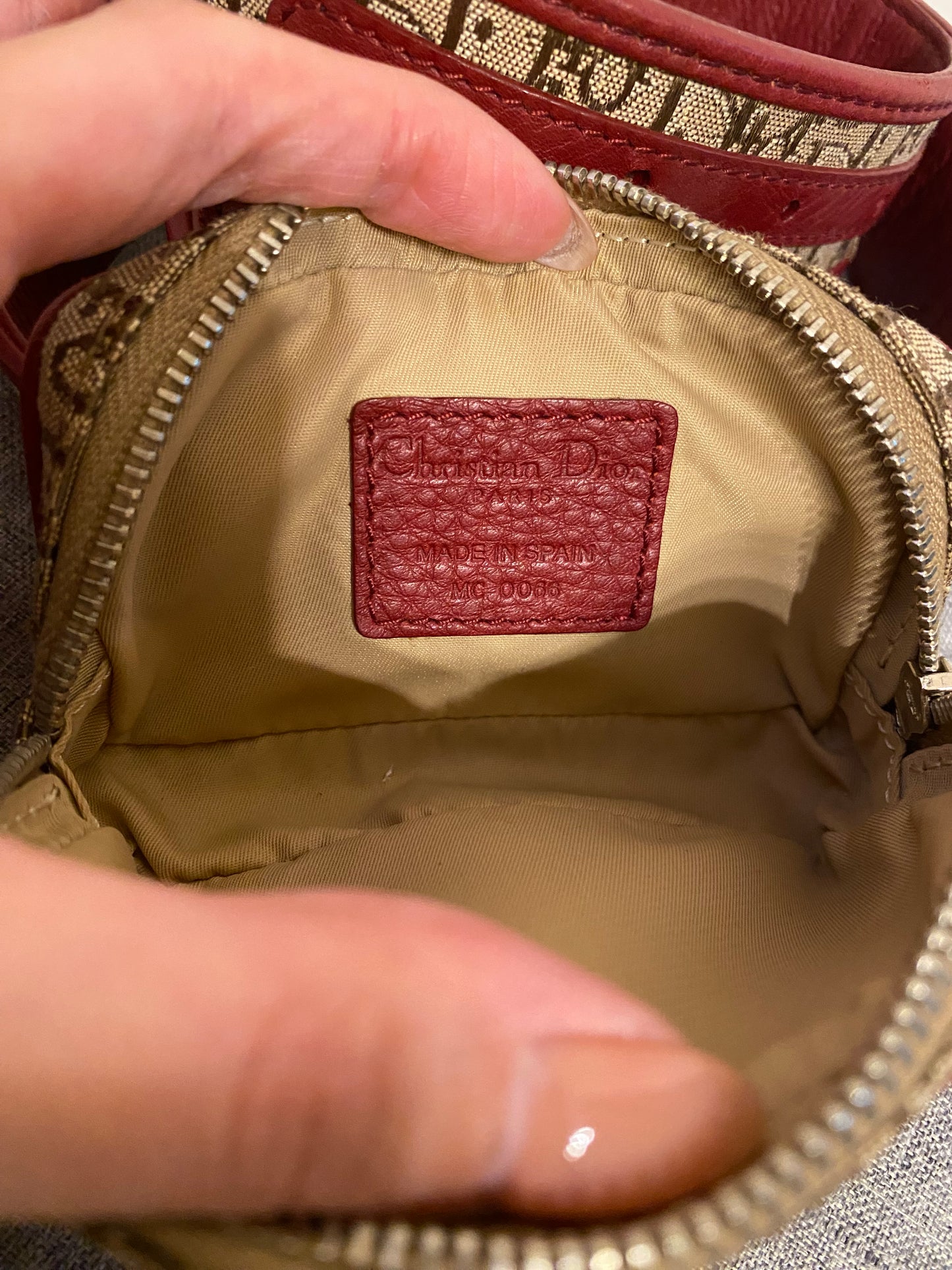 Dior Monogram Mini Belt Bag