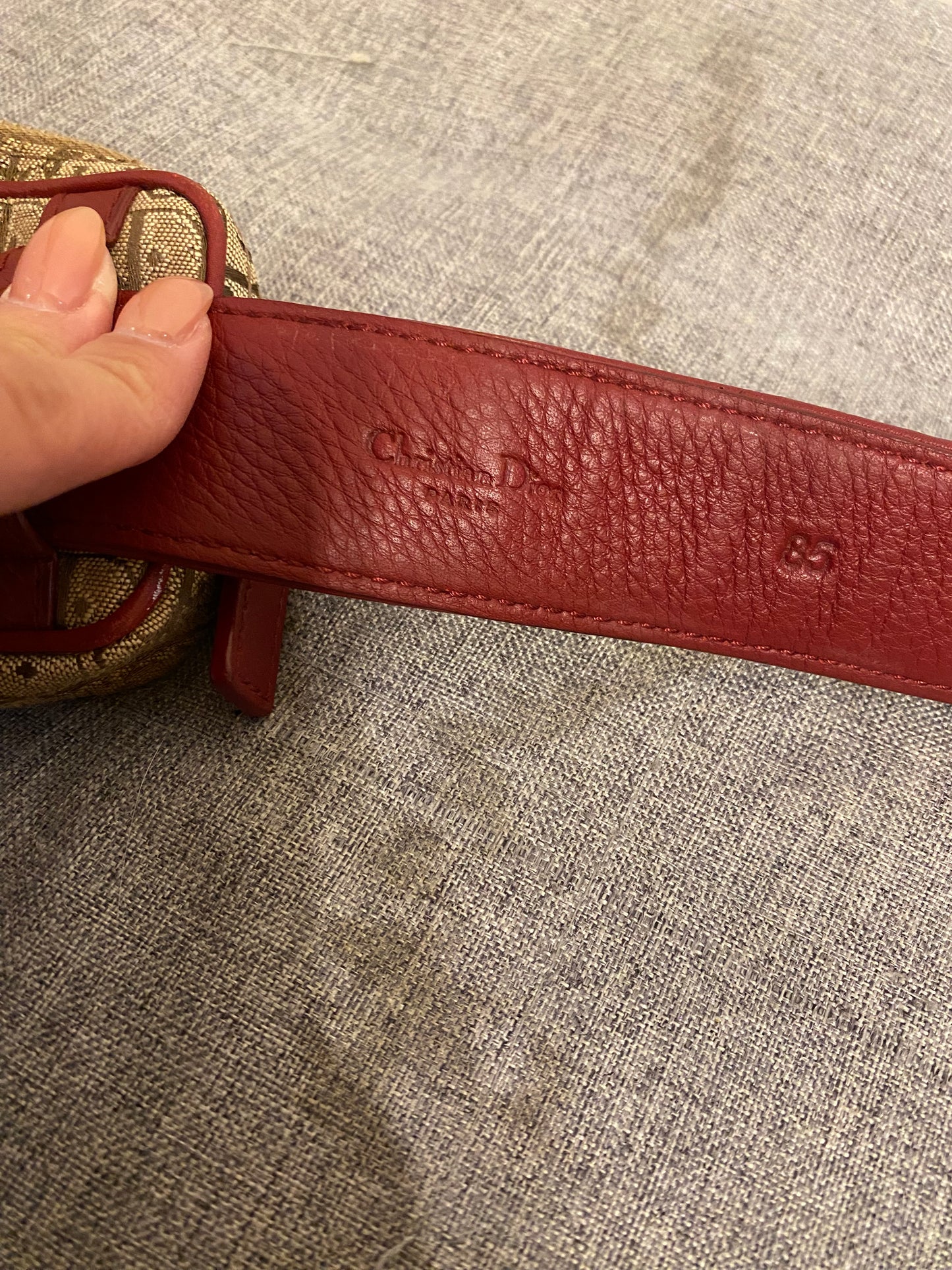 Dior Monogram Mini Belt Bag