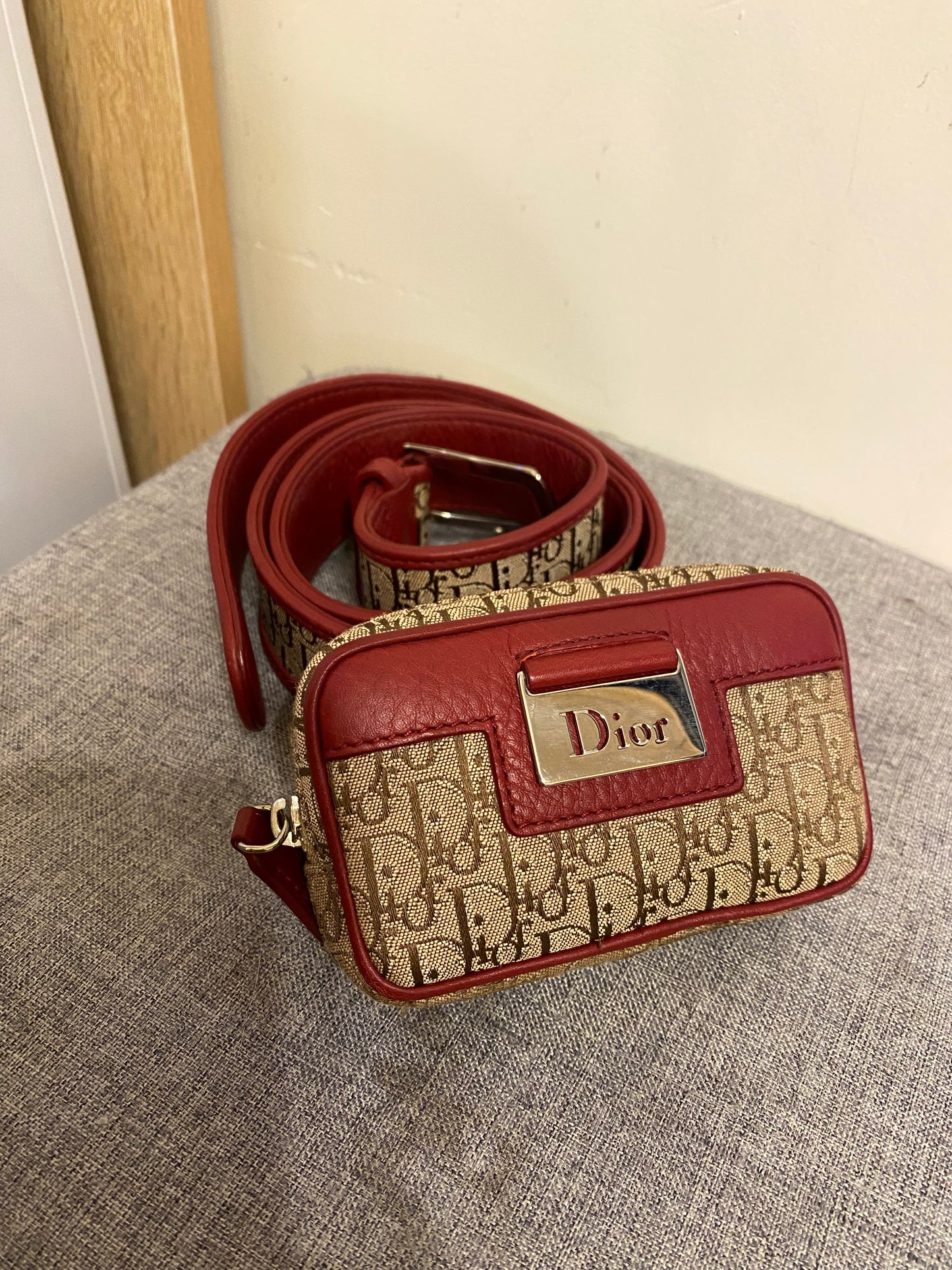 Dior Monogram Mini Belt Bag
