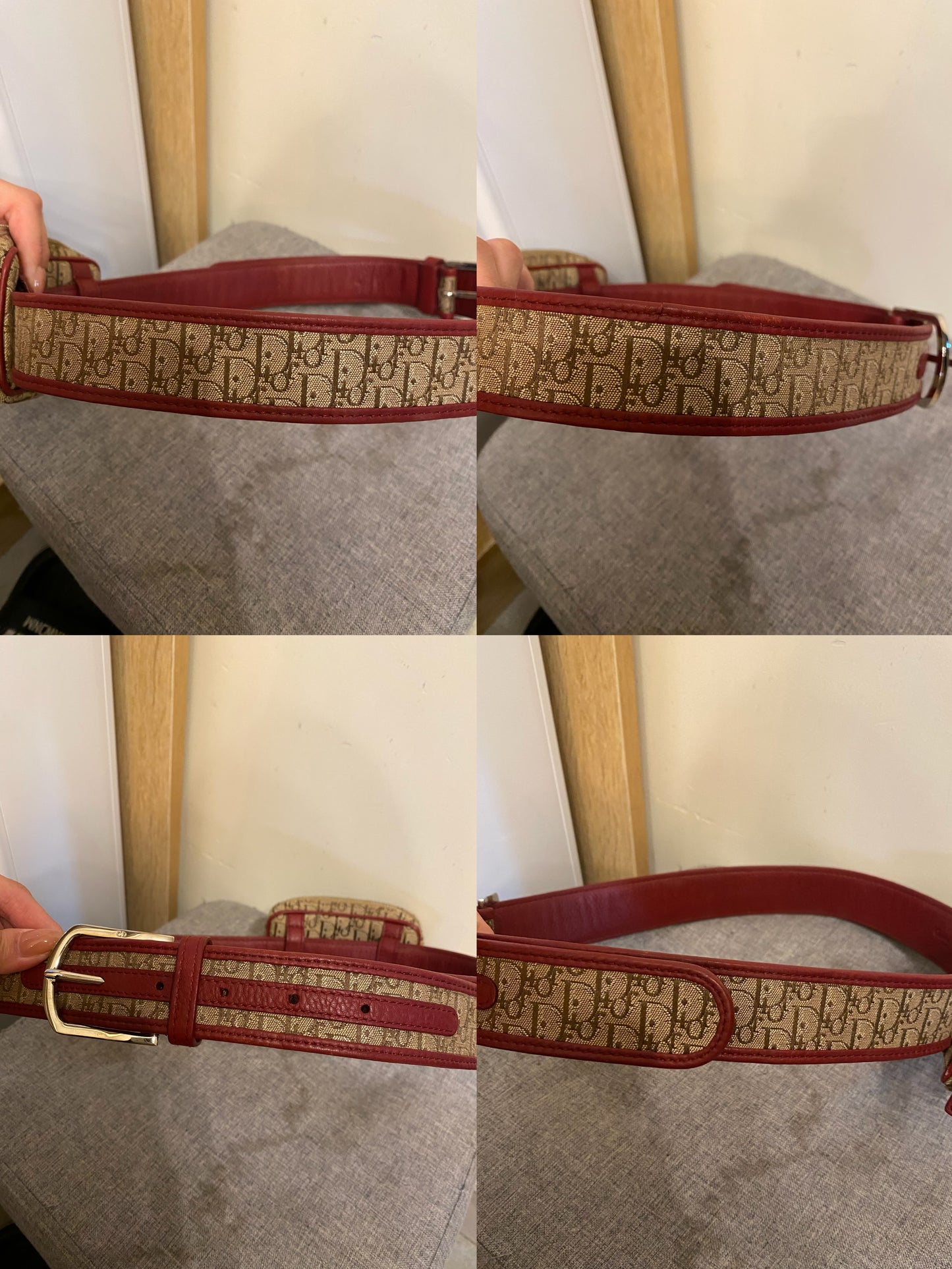Dior Monogram Mini Belt Bag