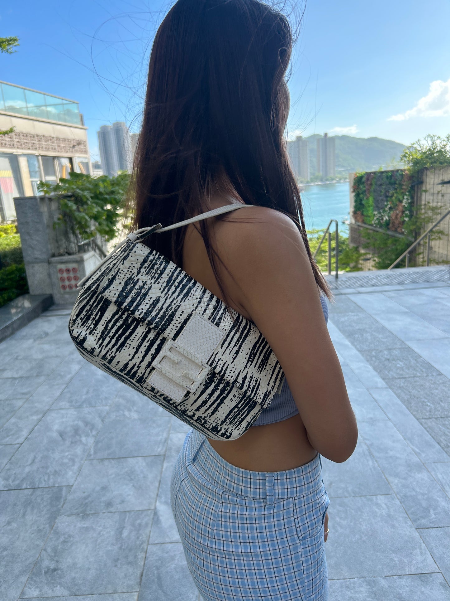 Fendi python baguette