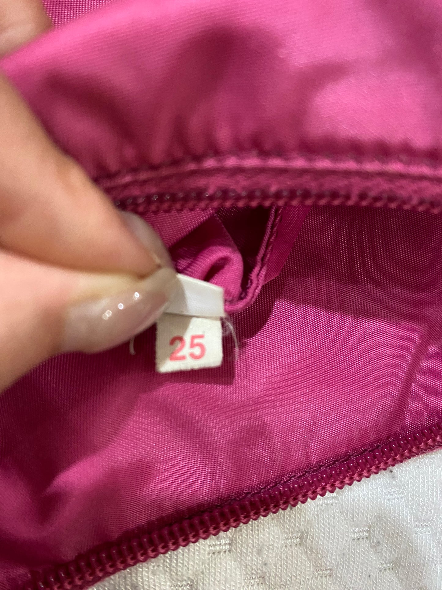 Prada Mini Hobo Bag