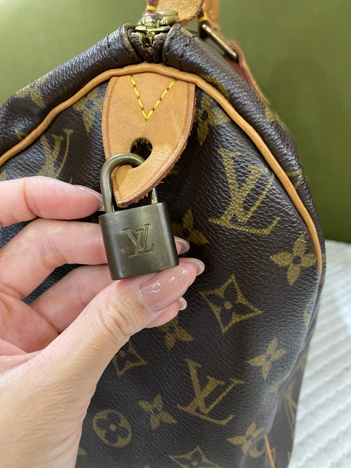 Louis Vuitton Speedy 30 Handbag in Monogram Canvas